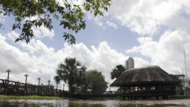 Photo of Pode se preparar: os próximos dias serão de muito calor no Pará