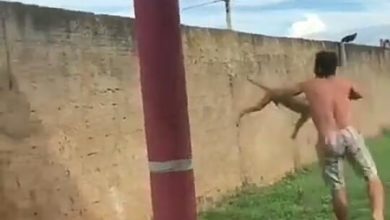 Photo of Polícia identifica homem que arremessou cachorro por cima de muro
