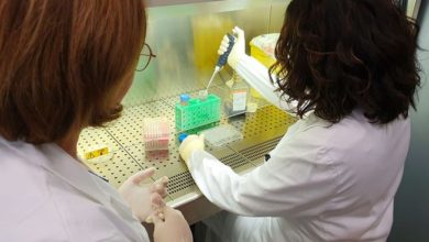 Photo of Estudo francês indica que pessoas que tiveram sintomas leves da Covid-19 podem estar imunes a nova infecção