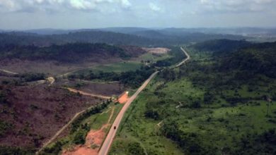 Photo of TCU recebe plano de concessão das BRs-163/230 em Mato Grosso e no Pará