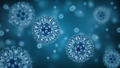 Photo of [Covid-19] SESPA confirma mais 238 casos e 42 óbitos