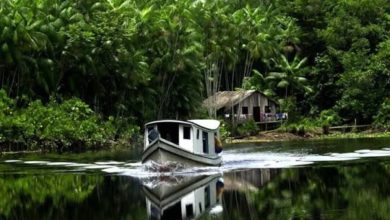 Photo of Enquanto o COVID-19 sobe o rio Amazonas, os serviços de saúde lutam para acompanhar
