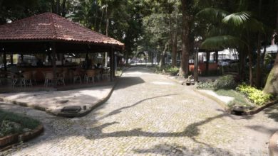 Photo of Prefeitura anuncia a revitalização do Horto Municipal