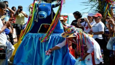 Photo of Documentário “Boi Pavulagem é Boi do Mundo” tem estreia nacional online, nesta segunda-feira