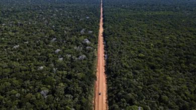 Photo of Edital para pavimentação da BR-319, no Amazonas, foi publicado por Bolsonaro