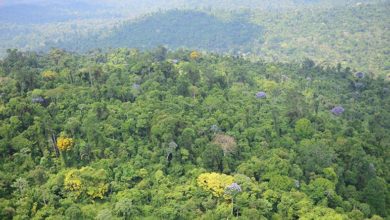 Photo of Carajás: Proteção da Floresta Amazônica ajuda no combate ao aquecimento global