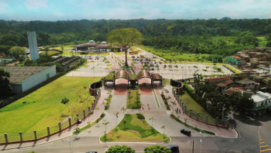 Photo of Parque do Utinga Camillo Viana cataloga espécies de plantas durante a pandemia