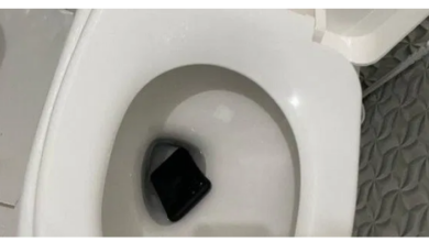 Photo of Ex-secretário de Meio Ambiente de Uruará joga celular no vaso sanitário durante operação da Polícia Federal
