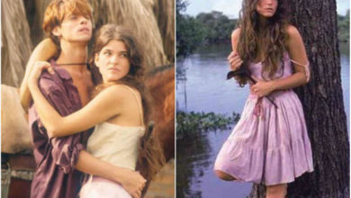 Photo of Negócio fechado: novela “Pantanal” será produzida pela TV Globo