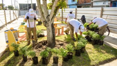 Photo of Florir Belém é lançado com previsão de plantio de 20 mil espécies até o final do ano
