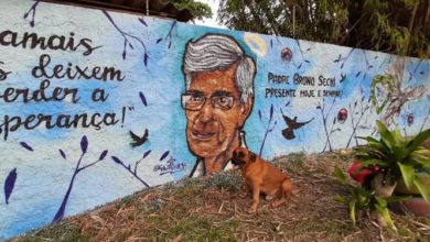 Photo of Cachorro de Padre Bruno Sechi fica alguns minutos parado olhando para imagem do religioso no muro de Emaús