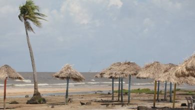 Photo of Soure e Salvaterra vão reabrir praias com delimitação de horários e limite de pessoas