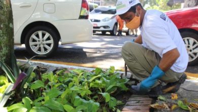 Photo of Projeto Florir Belém chega à praça Brasil e faz plantio de mudas