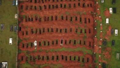 Photo of Pará tem a quinta maior taxa de morte por Covid-19 entre todos os estados brasileiros