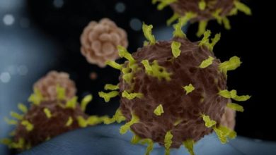 Photo of Estudo sugere que imunidade contra a covid-19 pode ser duradoura