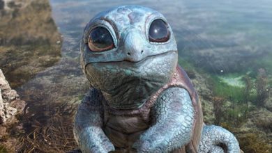 Photo of Artista cria versões realistas e adoráveis (ou assustadoras) de Pokémon