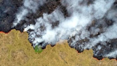 Photo of Embrapa contesta ONG’s sobre queimadas na Amazônia