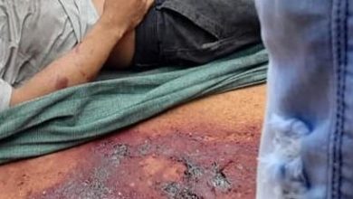 Photo of Três irmãos são assassinados a tiros e facadas em Tracuateua
