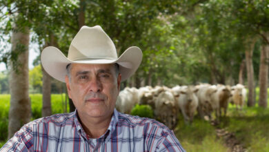 Photo of Um produtor tentou, em vão, fazer pecuária na Amazônia mais sustentável