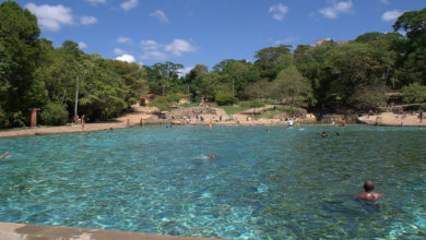 Photo of Bolsonaro autoriza privatização de dois parques nacionais