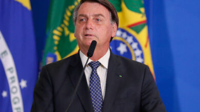 Photo of Bichos-preguiça