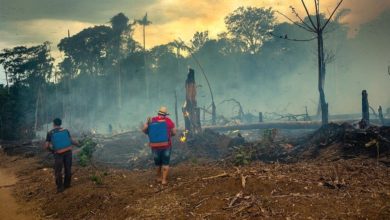 Photo of “Dia do Fogo” completa um ano sem presos nem indiciados no Pará