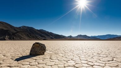 Photo of Temperatura mais alta da história pode ter sido registrada nos EUA