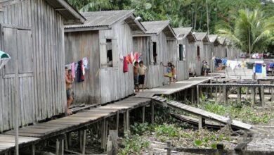 Photo of Pará é o segundo estado que tem mais beneficiários do Bolsa Família que trabalhadores com carteira assinada