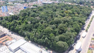 Photo of Bosque Rodrigues Alves reabre a partir desta terça-feira, 25