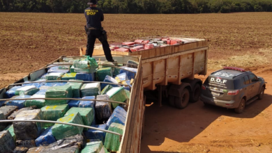 Photo of Polícia apreende mais de 30 toneladas de maconha no Mato Grosso do Sul