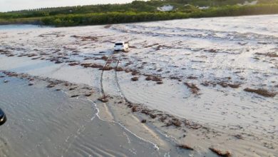 Photo of Grupamento Aéreo de Segurança evita que carro seja levado pela maré, em Salinas