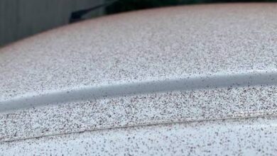 Photo of Defeito em fábrica faz ‘nevar chocolate’ em cidade suíça
