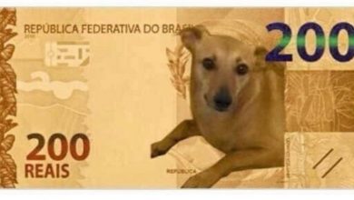 Photo of Banco Central estuda ação para vira-lata caramelo após petição de nota de R$ 200