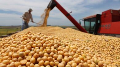 Photo of Ida da China às compras e real fraco encarecem alimentos básicos no Brasil