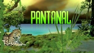 Photo of Ao refazer “Pantanal”, Globo acerta contas com erro crasso do passado