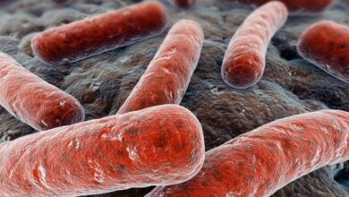 Photo of Bactéria escapa de laboratório e infecta mais de 3 mil pessoas na China