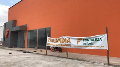 Photo of Nova empresa agrícola em Tailândia contrata; veja as vagas