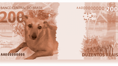 Photo of Vira-lata caramelo aparece no comercial da nota de R$ 200; veja o vídeo