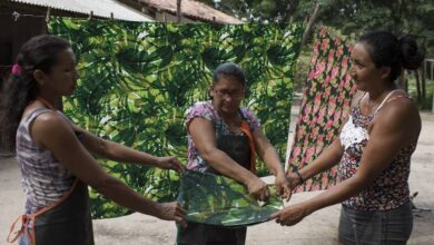 Photo of Conheça negócios sustentáveis que são alternativa para preservar a Amazônia