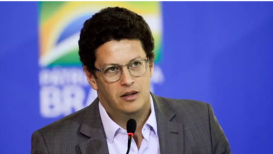 Photo of No STF, Ricardo Salles defende reformulação do Fundo Amazônia