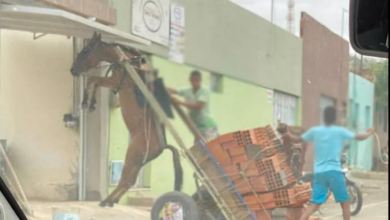 Photo of Burro fica suspenso em carroça com excesso de peso em Juazeiro do Norte