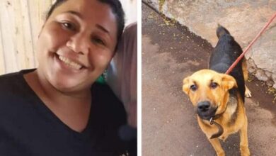 Photo of Morre mulher agredida a tijoladas por defender cachorro de maus-tratos