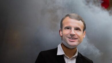 Photo of Congresso francês autoriza pesticida que mata abelhas para salvar indústria da beterraba