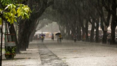 Photo of Novembro será marcado por chuvas intensas no Pará, diz Semas