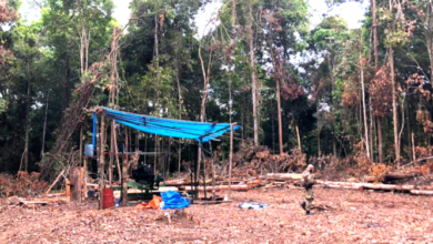 Photo of Degradação humana: fiscalização resgata trabalhadores escravos em Portel, no Marajó