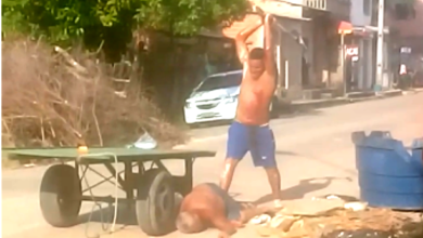 Photo of Idoso é agredido, desmaia e leva golpes de pá na cabeça: prendam o covarde