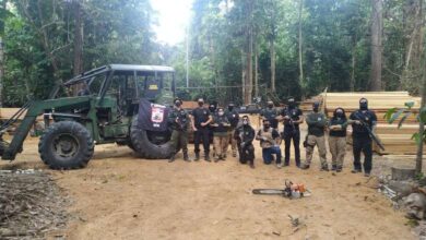 Photo of Seis serrarias clandestinas são destruídas na quarta fase da operação Amazônia Viva