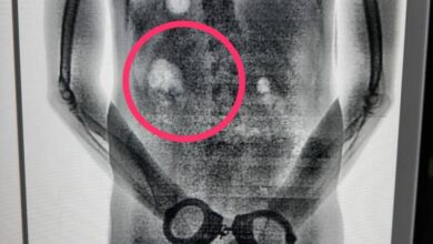 Photo of Dois presos com drogas no estômago são flagrados na vistoria de rotina do CTM I