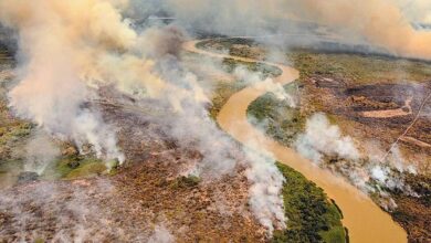 Photo of URGENTE! Helicóptero da Força Nacional que atuava no combate a queimadas cai no Pantanal de MT