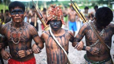 Photo of Mercúrio de garimpo ilegal contaminou índios no Pará, diz pesquisa